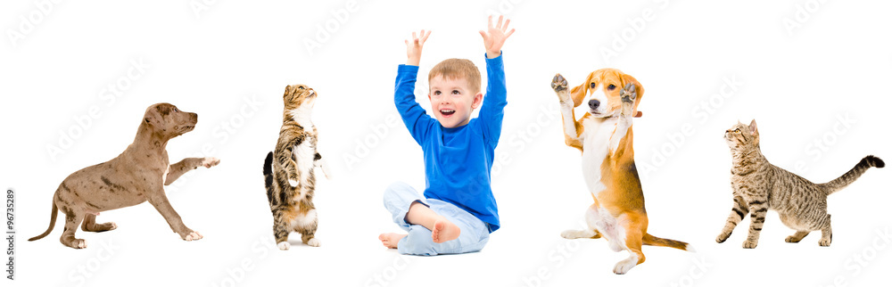 Group of a cheerful pets and kid together isolated on white background Group of a cheerful pets and kid together isolated on white background