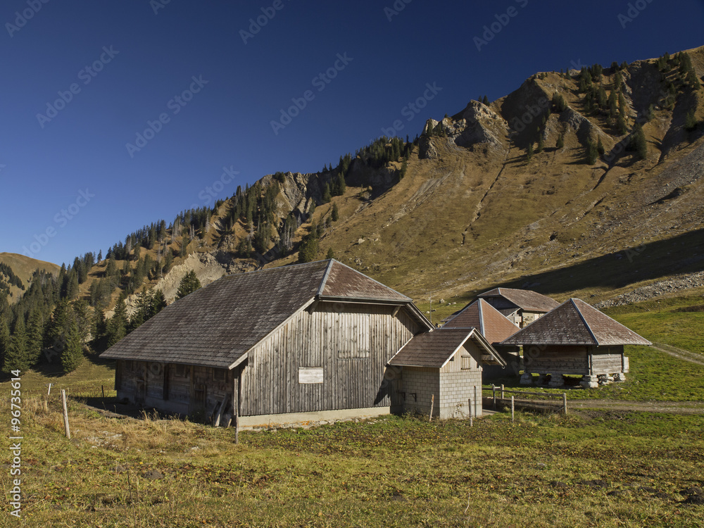 Alpine settlement in autumn, Alpsiedlung im Herbstlicht