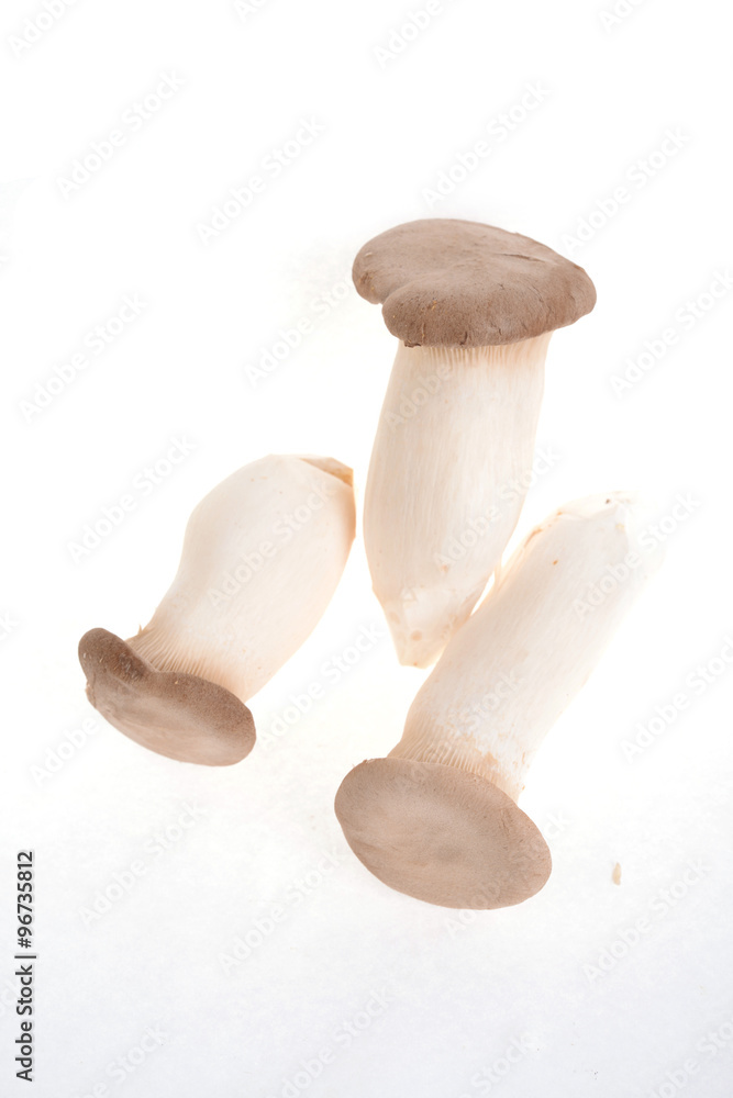 다양한 야채, 채소 다양한 야채, 채소