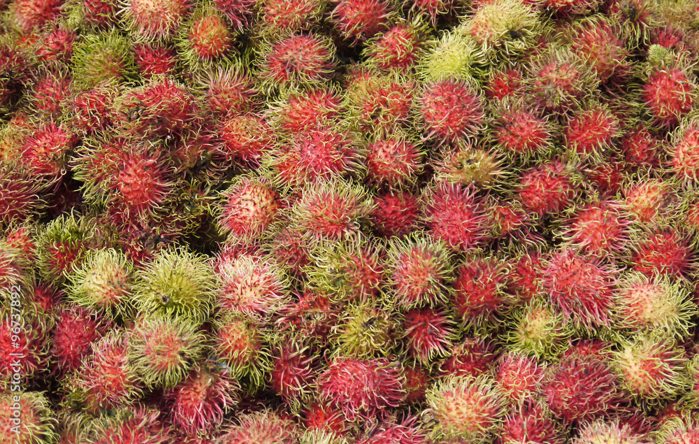 The rambutan is a medium-sized tropical tree in the family Sapindaceae. The fruit produced by the tree is also known as rambutan The rambutan is a medium-sized tropical tree in the family Sapindaceae. The fruit produced by the tree is also known as rambutan
