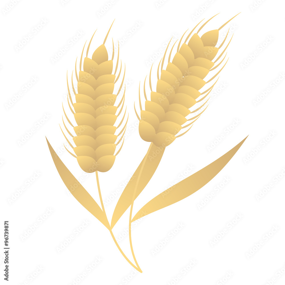 小麦 イラストカット Stock イラスト Adobe Stock