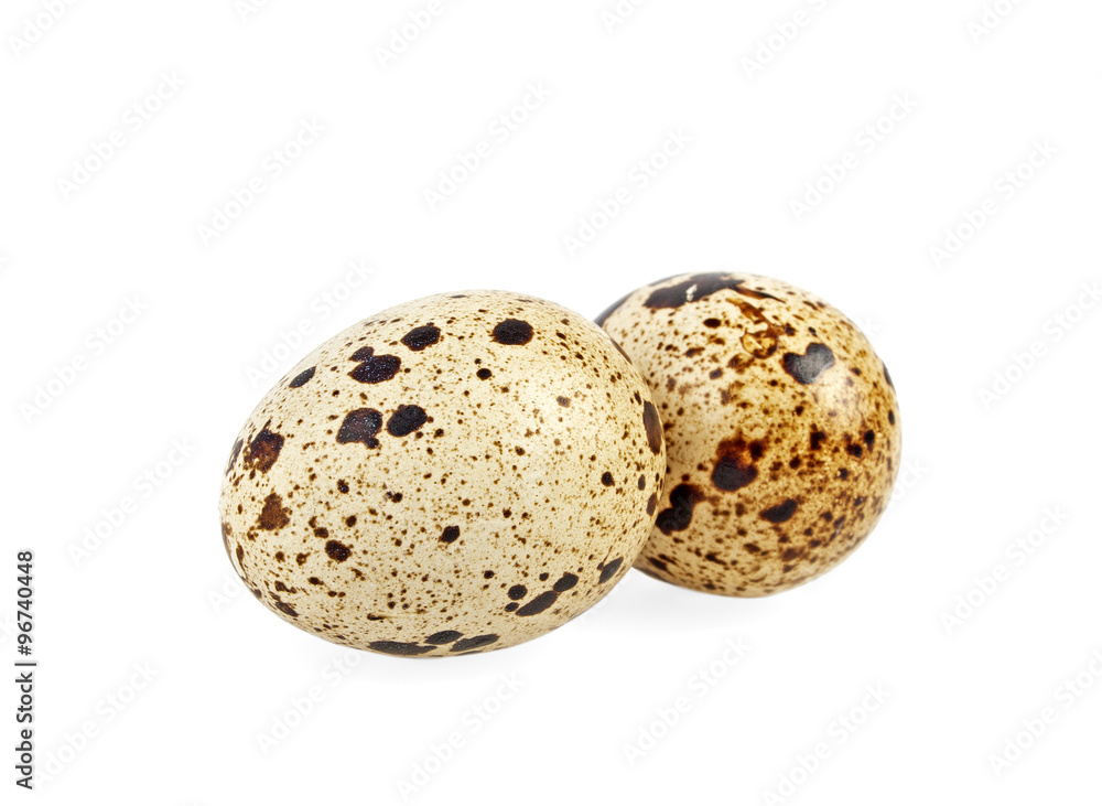 Quail eggs on a white background Quail eggs on a white background