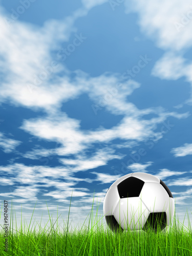 Conceptual 3D soccer ball in field grass with a  sky background