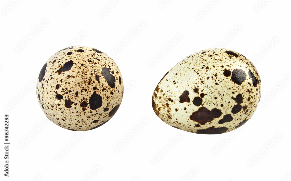 Quail eggs on a white background Quail eggs on a white background
