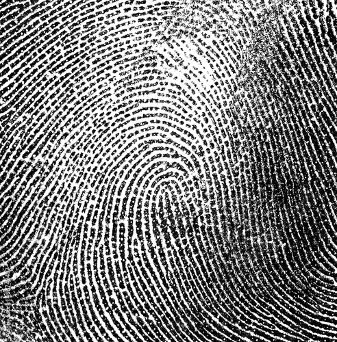 Fingerprint