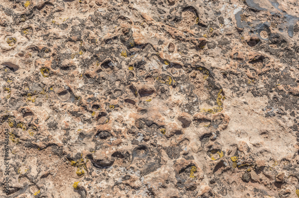 The rocky surface in Canyonlands National Park The rocky surface in Canyonlands National Park