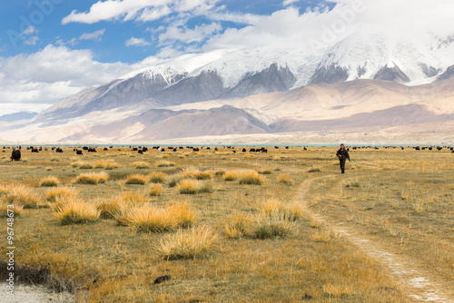 Grassland around Muztagh Ata and Karakuli Lake, Pamir Mountains, Kasgar, Xinjiang, China photo