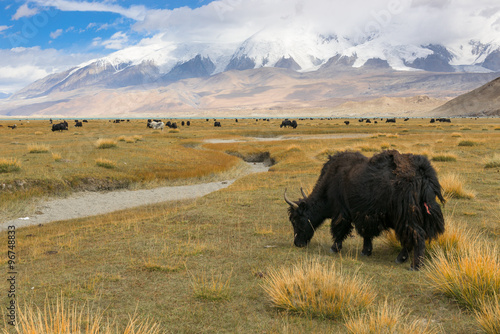 Jinsiy aloqa Umida porno