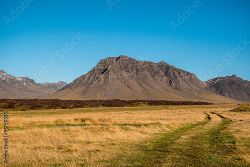 Yellow meadow and volcanic mountain