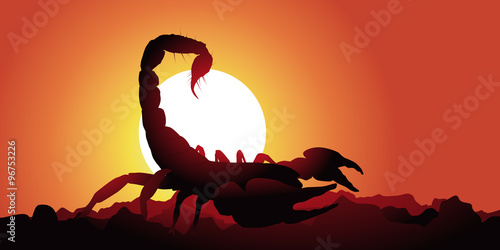 SCORPION