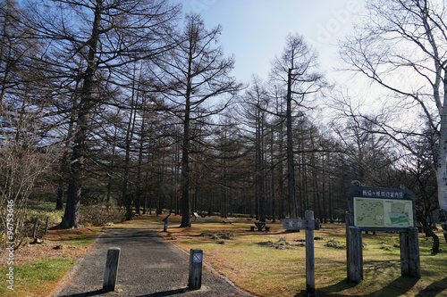 Wallpaper Mural 三本松園地入口 Torontodigital.ca