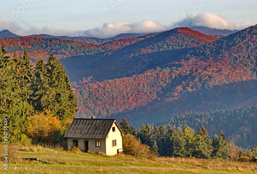 old abandoned house and colorful dense forest in autumn time