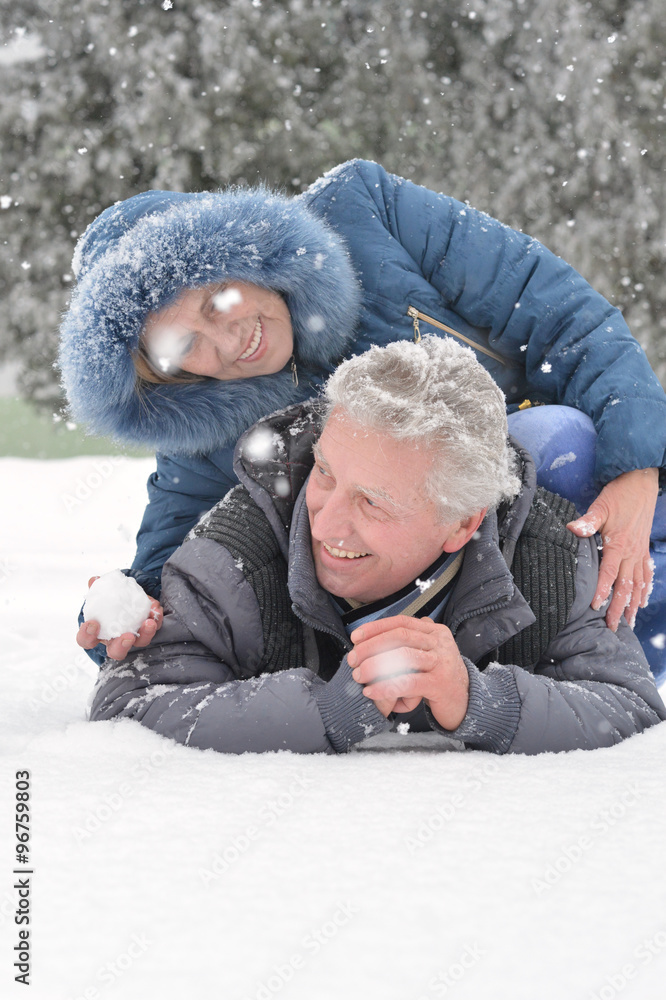 Obraz premium Happy senior couple 