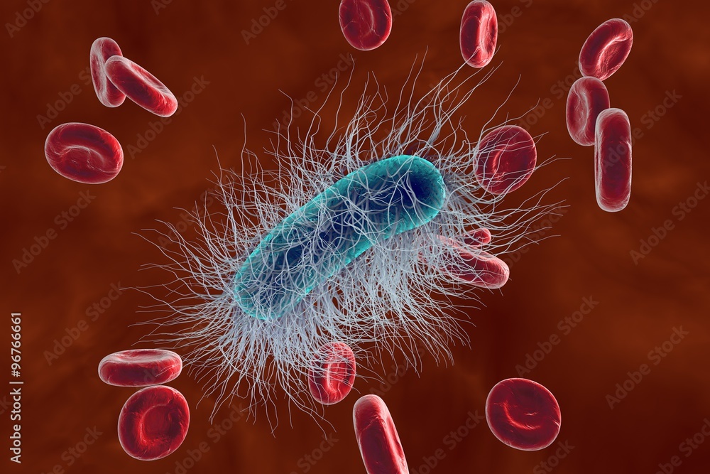 Escherichia coli in blood with red blood cells, model of bacteria ...