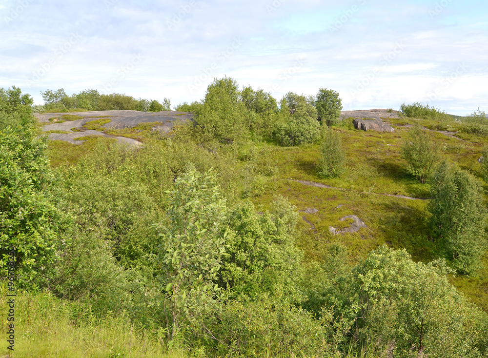 Hill slope with stone exposures and bushes. Murmansk region