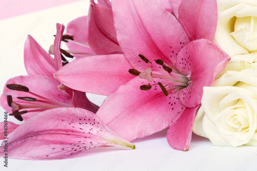 Beautiful pink lilies with brown nectar and white roses decoration on a white background
Beautiful pink lilies with brown nectar and white roses decoration on a white background