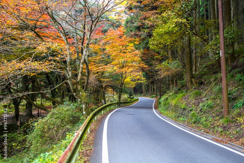 Fototapeta premium Autumn colors in Kyoto Japan