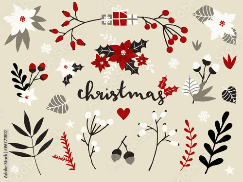 Christmas Floral Elements Collection