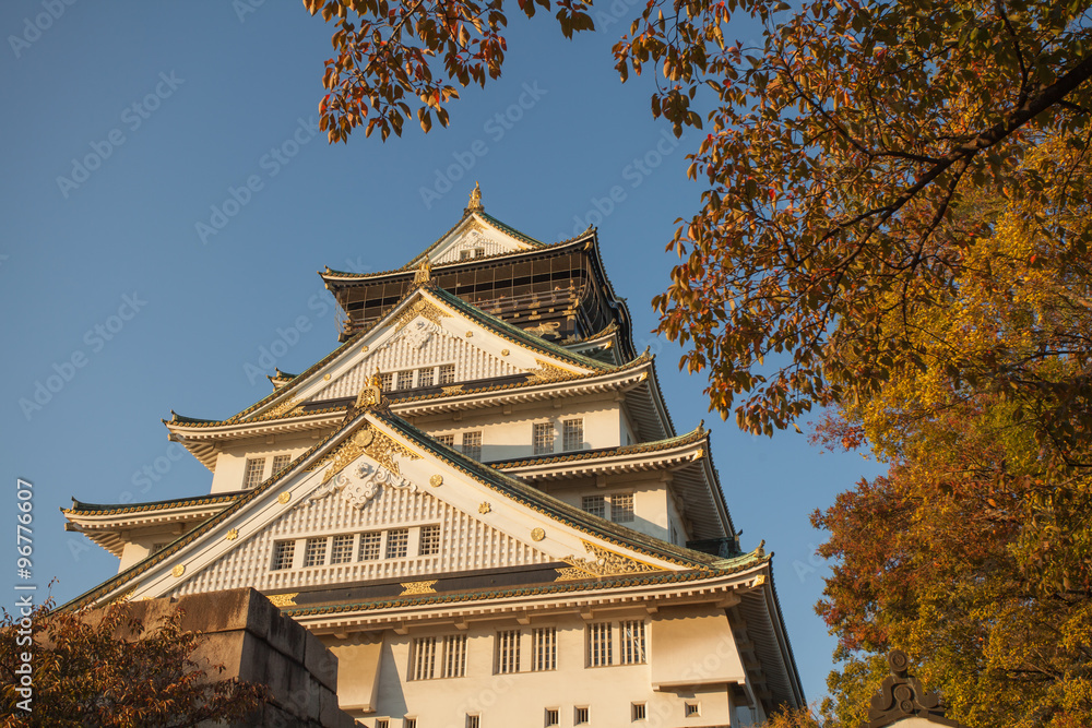 Osaka Castle, the historical Osaka Castle in spring season colouring red tree surrounding Osaka Castle, the historical Osaka Castle in spring season colouring red tree surrounding