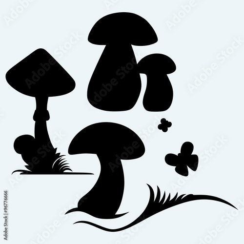 Boletus Edulis and mushroom Amanita. Isolated on blue background. Vector silhouettes