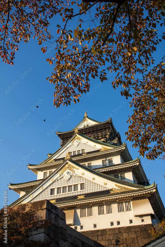 Osaka Castle, the historical Osaka Castle in spring season colouring red tree surrounding Osaka Castle, the historical Osaka Castle in spring season colouring red tree surrounding