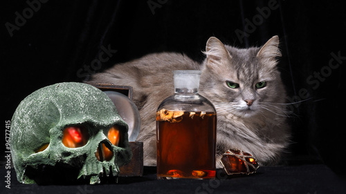 Мистика. Мистический натюрморт с котом, черепом, бутылкой с темным веществом и дракоценным кольцом с светящимся камнем. У черепа горят глаза. Кот с зелеными глазами. Волшебство, мистика, алхимия