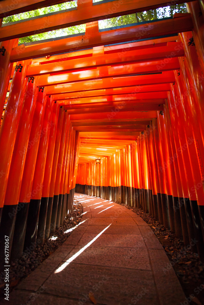 Fototapeta premium Fushimi Inari Taisha, tunel japońskiej nazwy na słynnym czerwonym słupie lub torii w Fushimi Inari taisha Kioto, Japonia