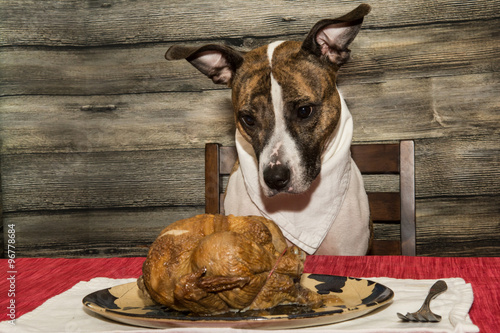 Fototapeta Naklejka Na Ścianę i Meble -  Begging for the Holiday Feast