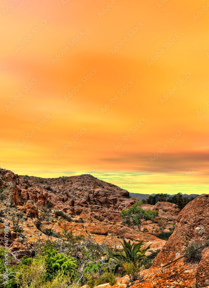 Sonora Desert Mountains