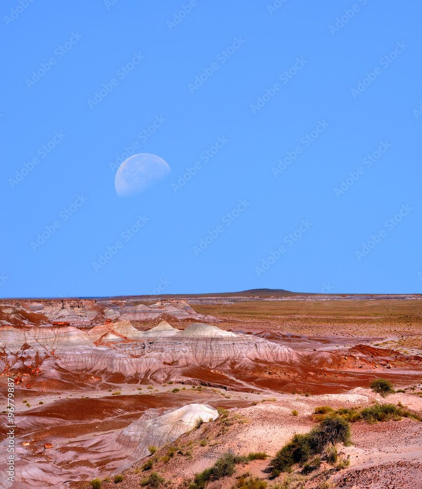 Petrified Forest and Moon