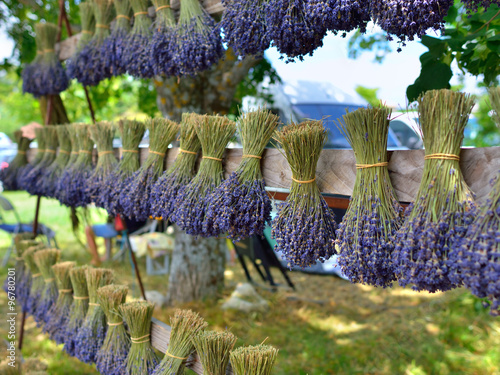 Fototapeta Naklejka Na Ścianę i Meble -   Lavender flowers, Provence, France