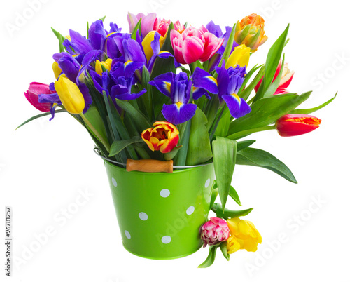 Fototapeta Naklejka Na Ścianę i Meble -  spring tulips and irises