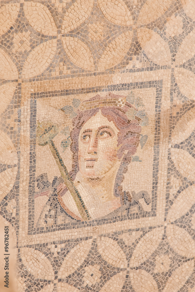 Mosaic in Terrace Houses, Ephesus Ancient City