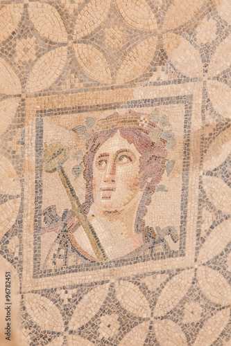 Mosaic in Terrace Houses, Ephesus Ancient City