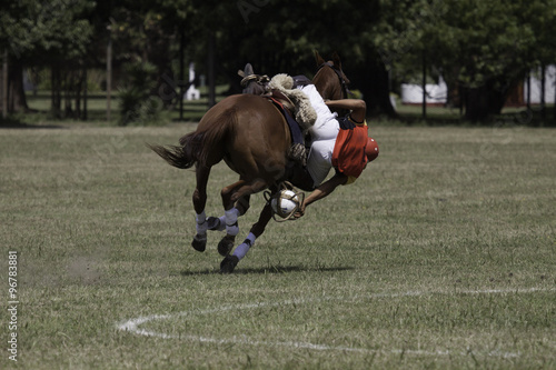 pato horse ball caballos © Santa001