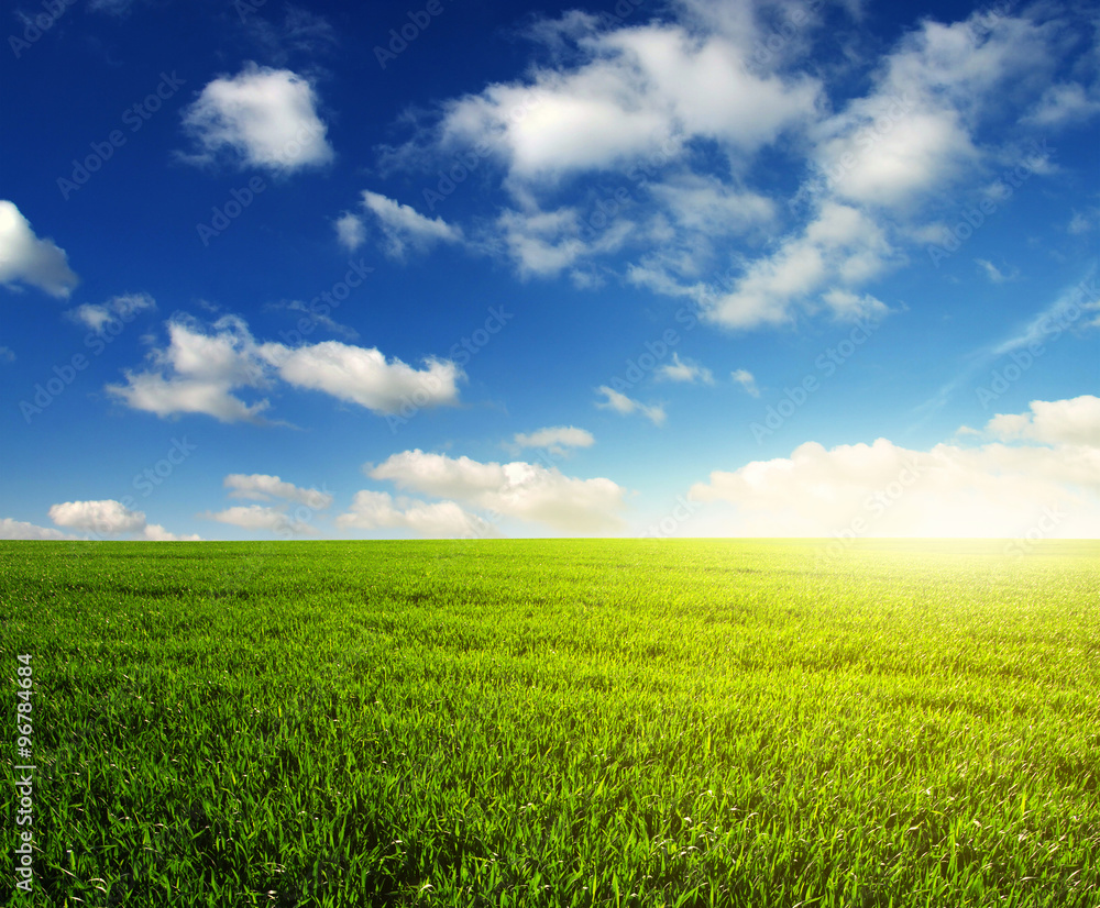  field and sun