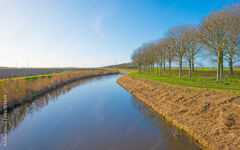Shore of a canal through a field in autumn