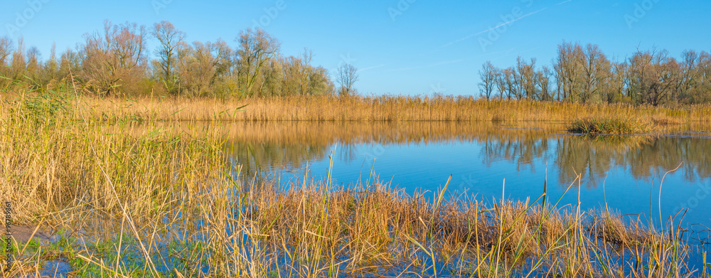 The shore of a sunny lake in autumn The shore of a sunny lake in autumn