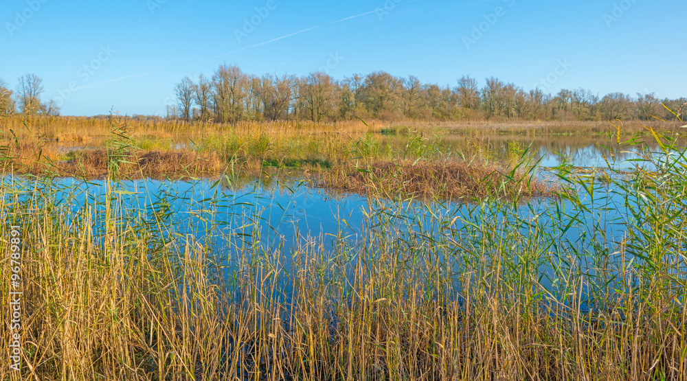 The shore of a sunny lake in autumn The shore of a sunny lake in autumn