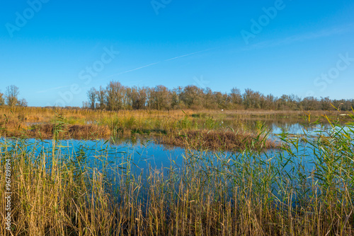 The shore of a sunny lake in autumn