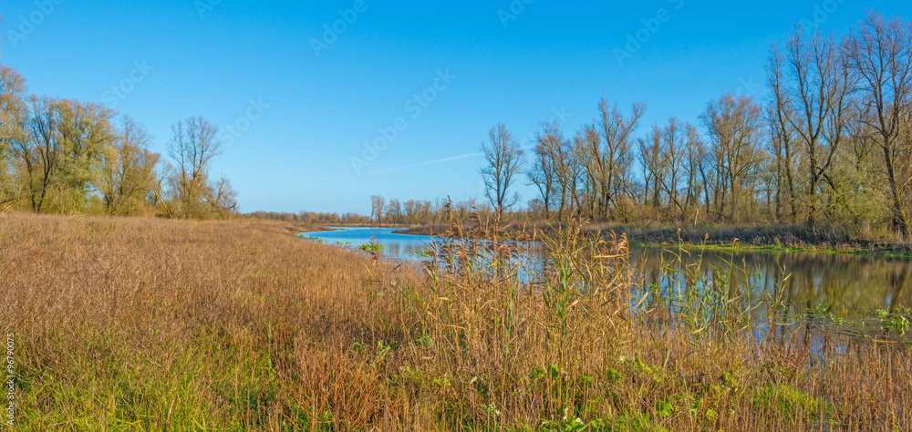 The shore of a sunny lake in autumn
