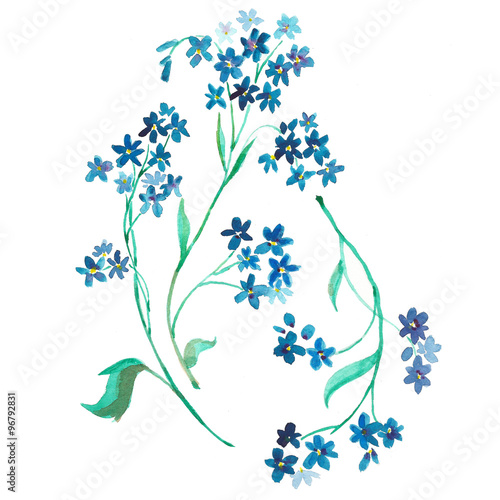 Watercolor flowers blue