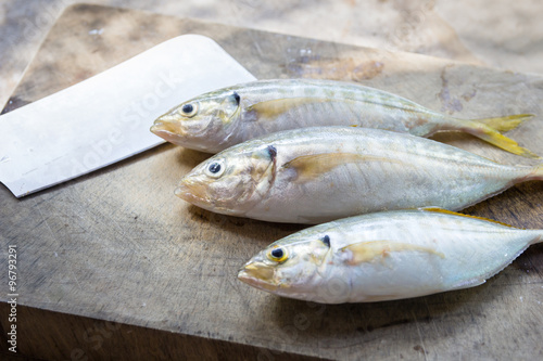 prepare for dissected yellowstripe scad photo