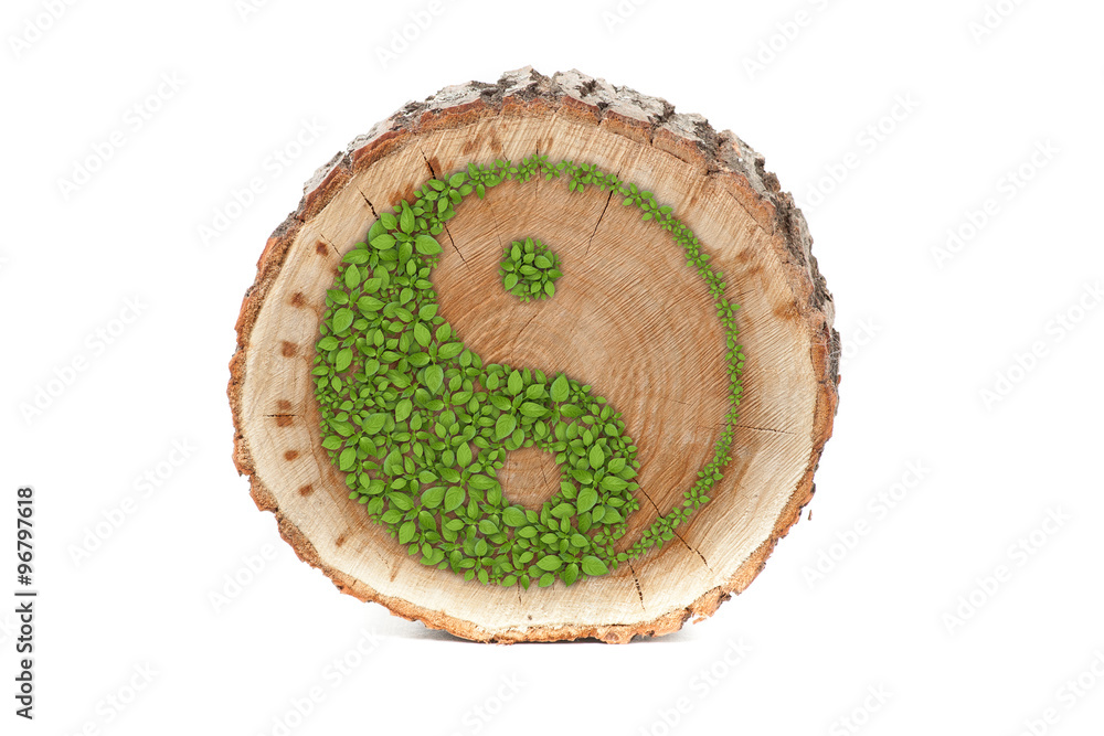 Cross section of tree trunk with Ying yang symbol. Stock Photo | Adobe ...