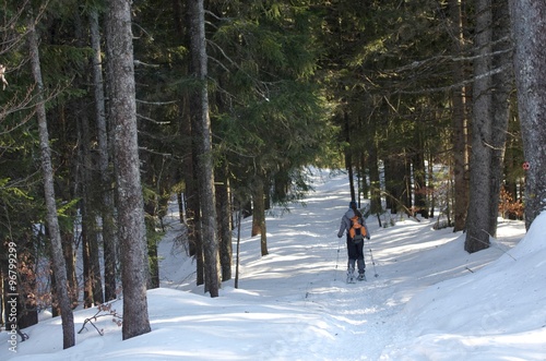 randonneuse à raquettes dans la forêt