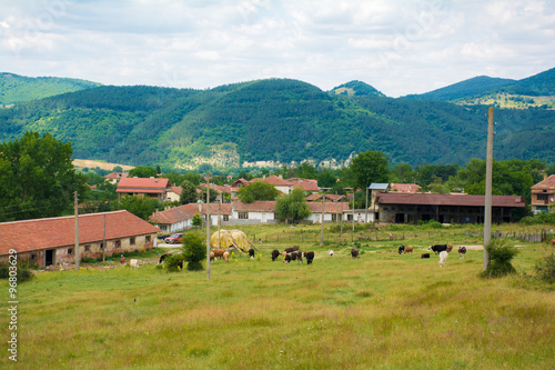 Beautiful rural views of houses and cows in the mountains