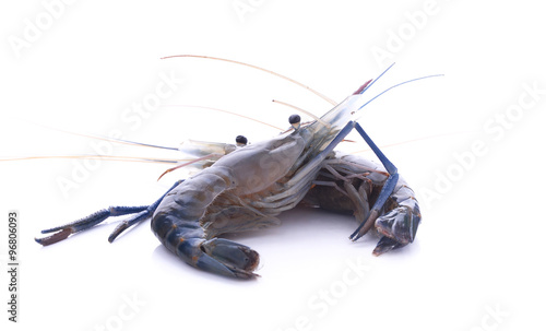 The shrimp isolated on white background photo