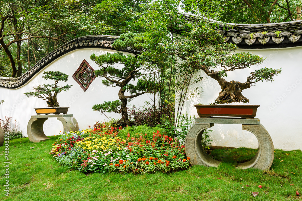 The beauty of the Chinese traditional gardens and green bonsai plants The beauty of the Chinese traditional gardens and green bonsai plants