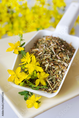 fresh and dried common St. John's wort - hypericum perforatum - natural antidepressants -  yellow flowers with leaves photo