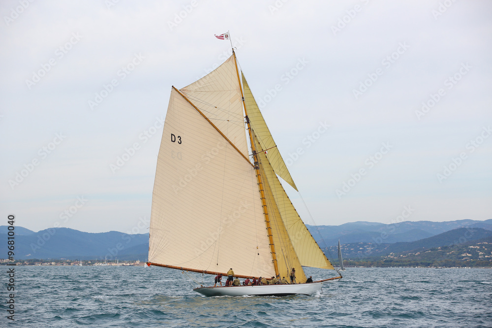 Fototapeta premium les voiles de saint tropez